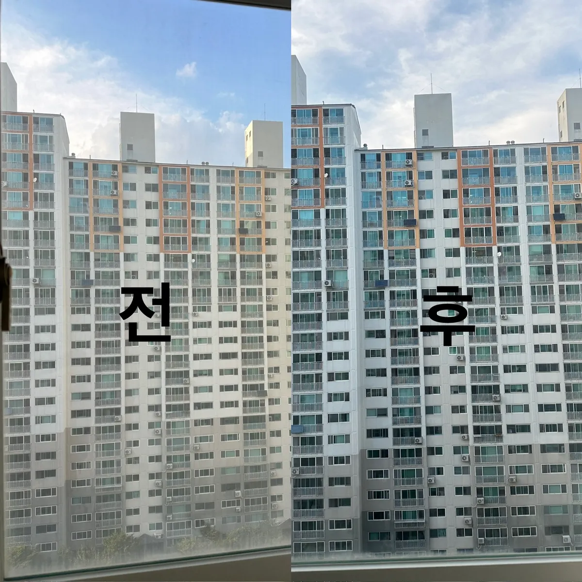 이미지 11