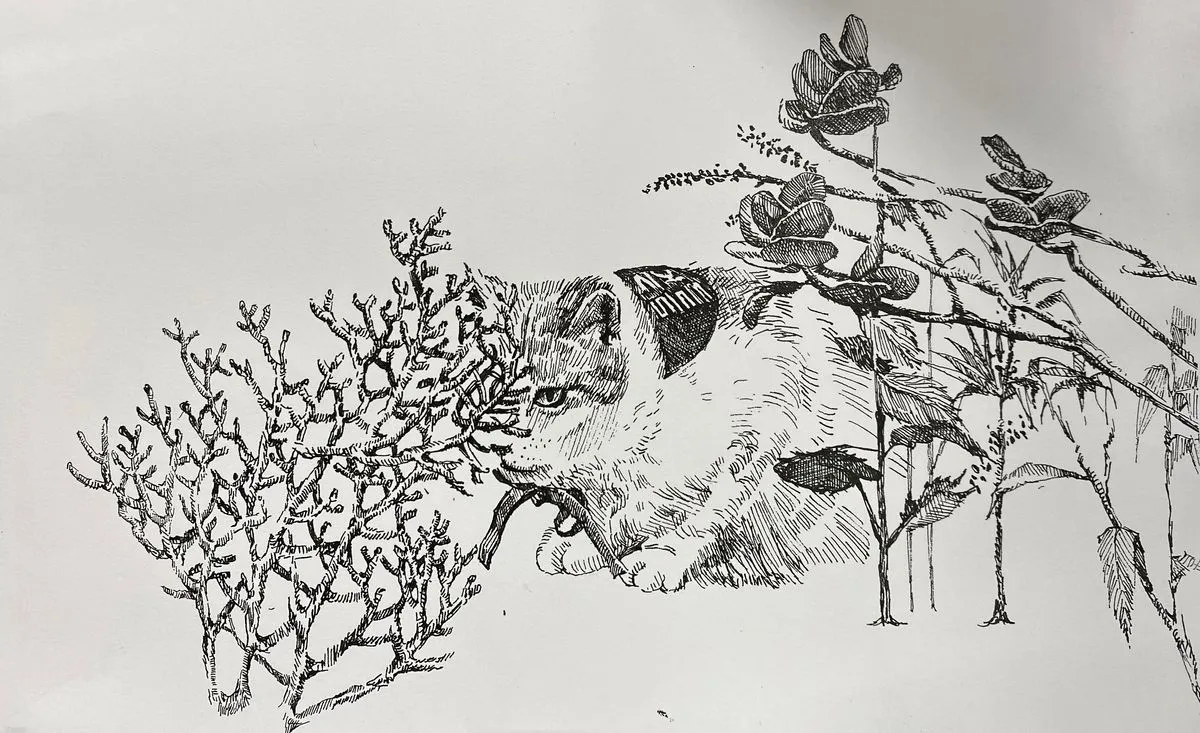 포트폴리오 이미지