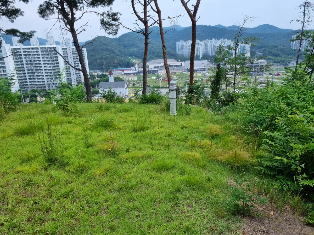 이미지 3