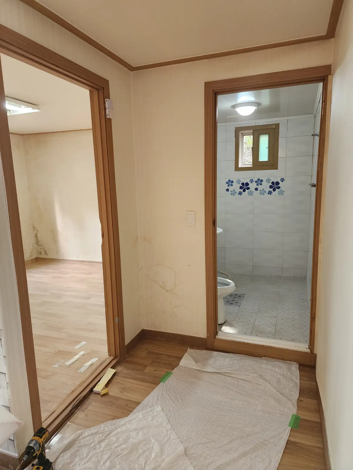이미지 8