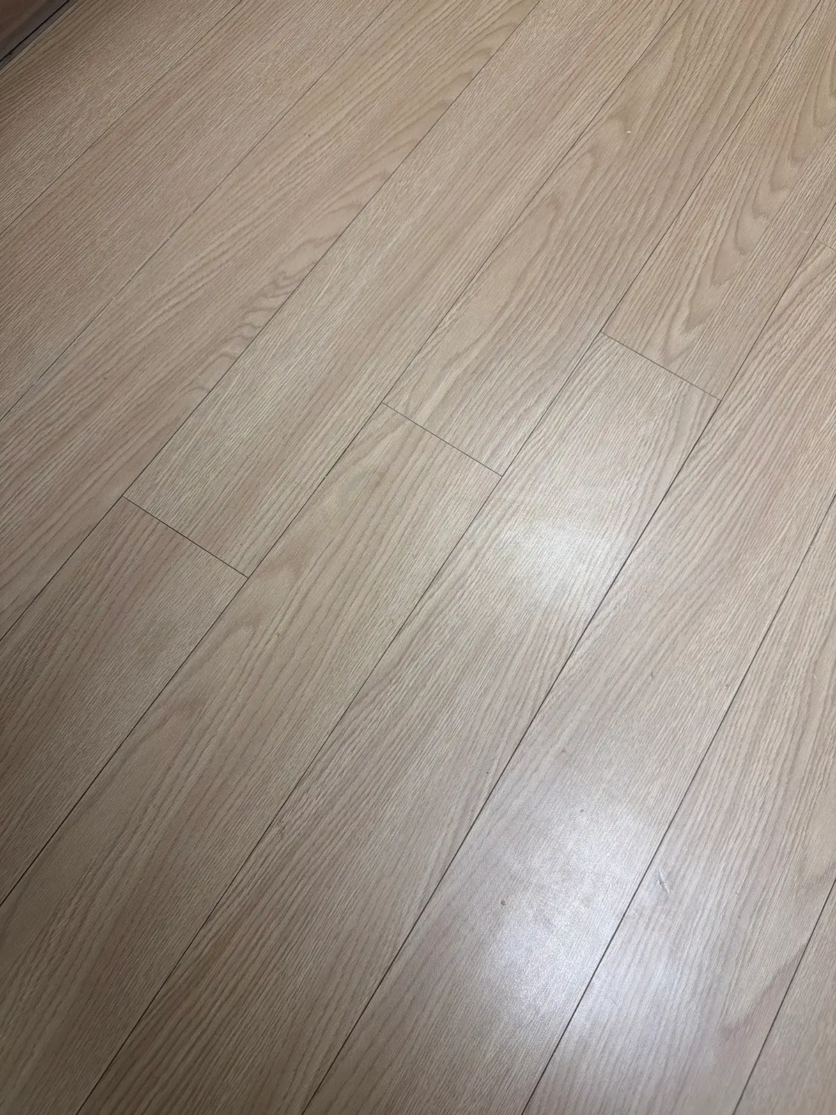 이미지 10