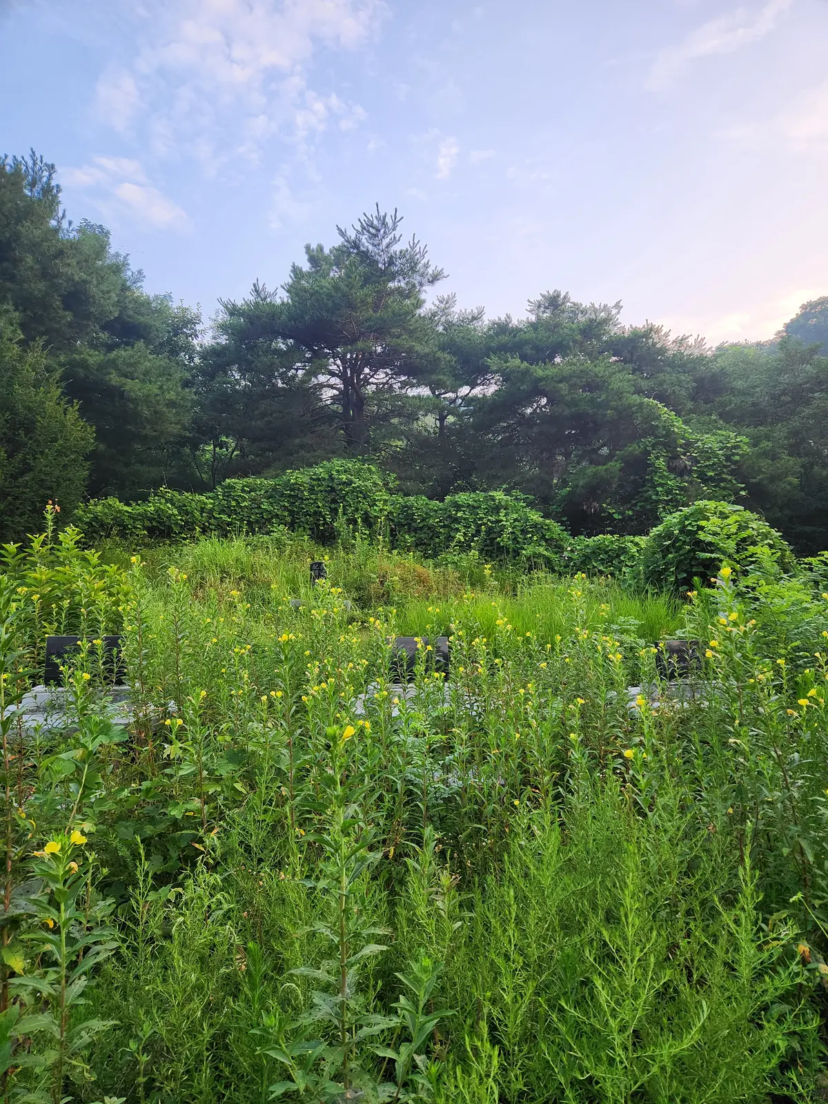 이미지 5