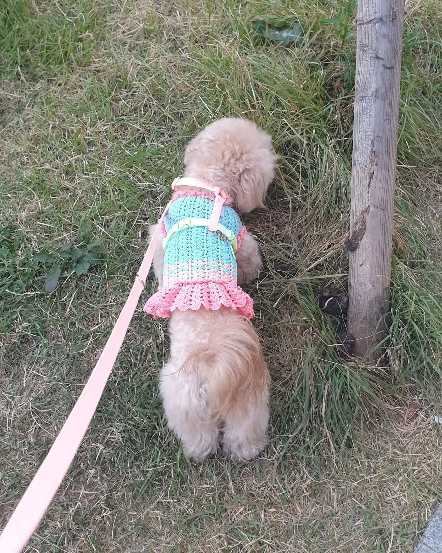 이미지 5