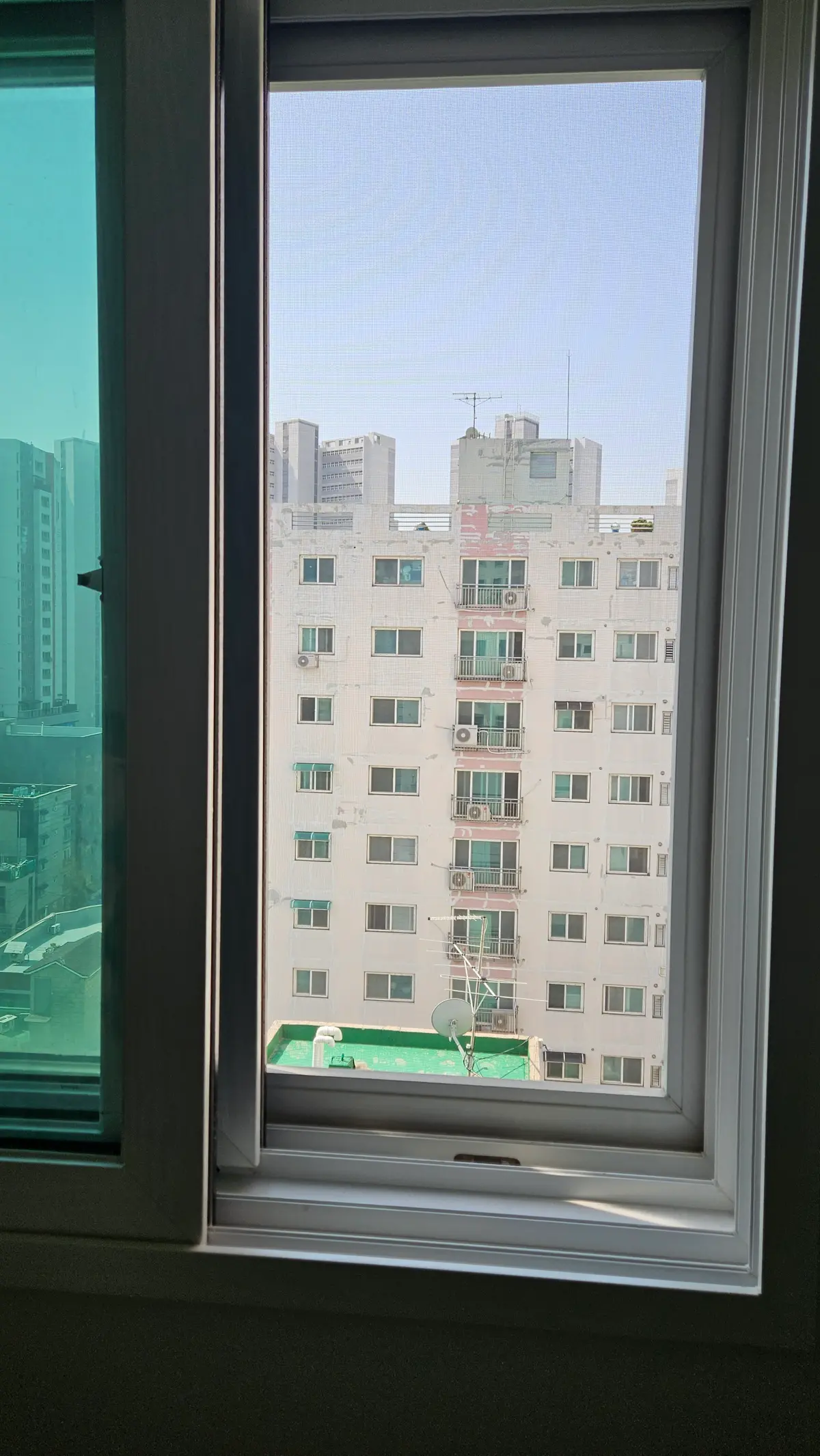이미지 11
