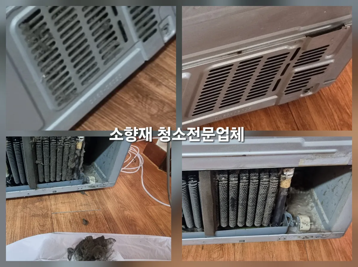 이미지 10