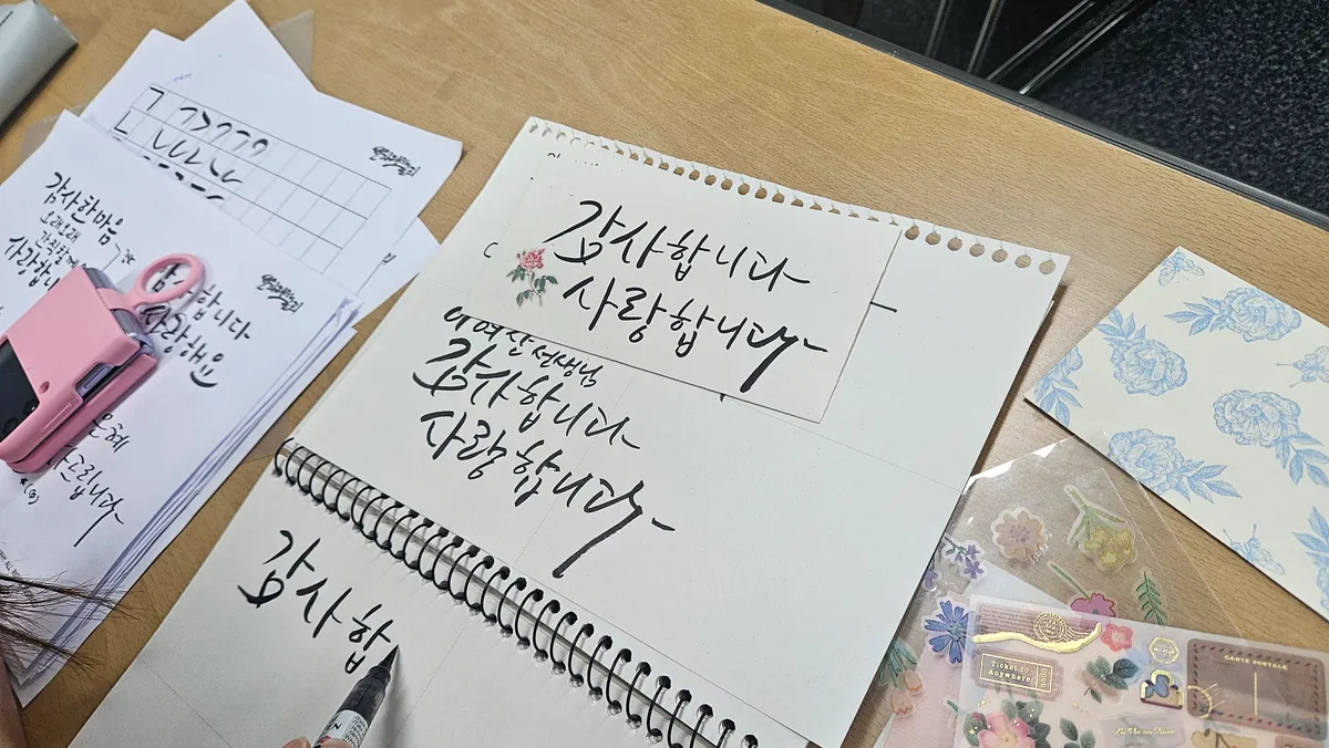이미지 5