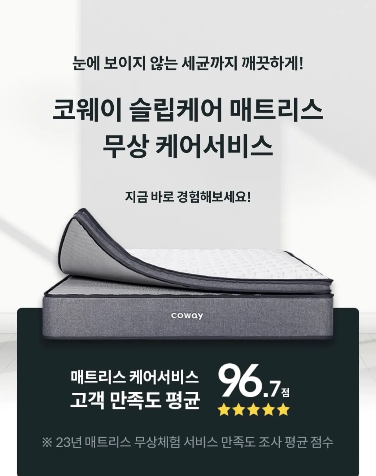 이미지 11