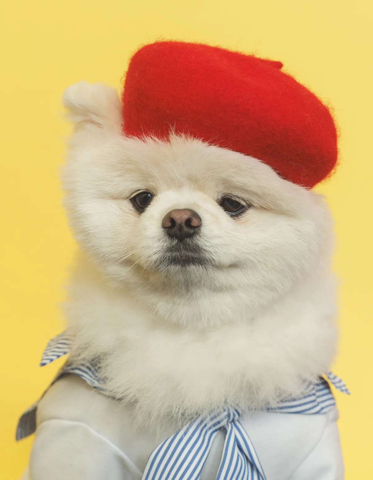 이미지 30