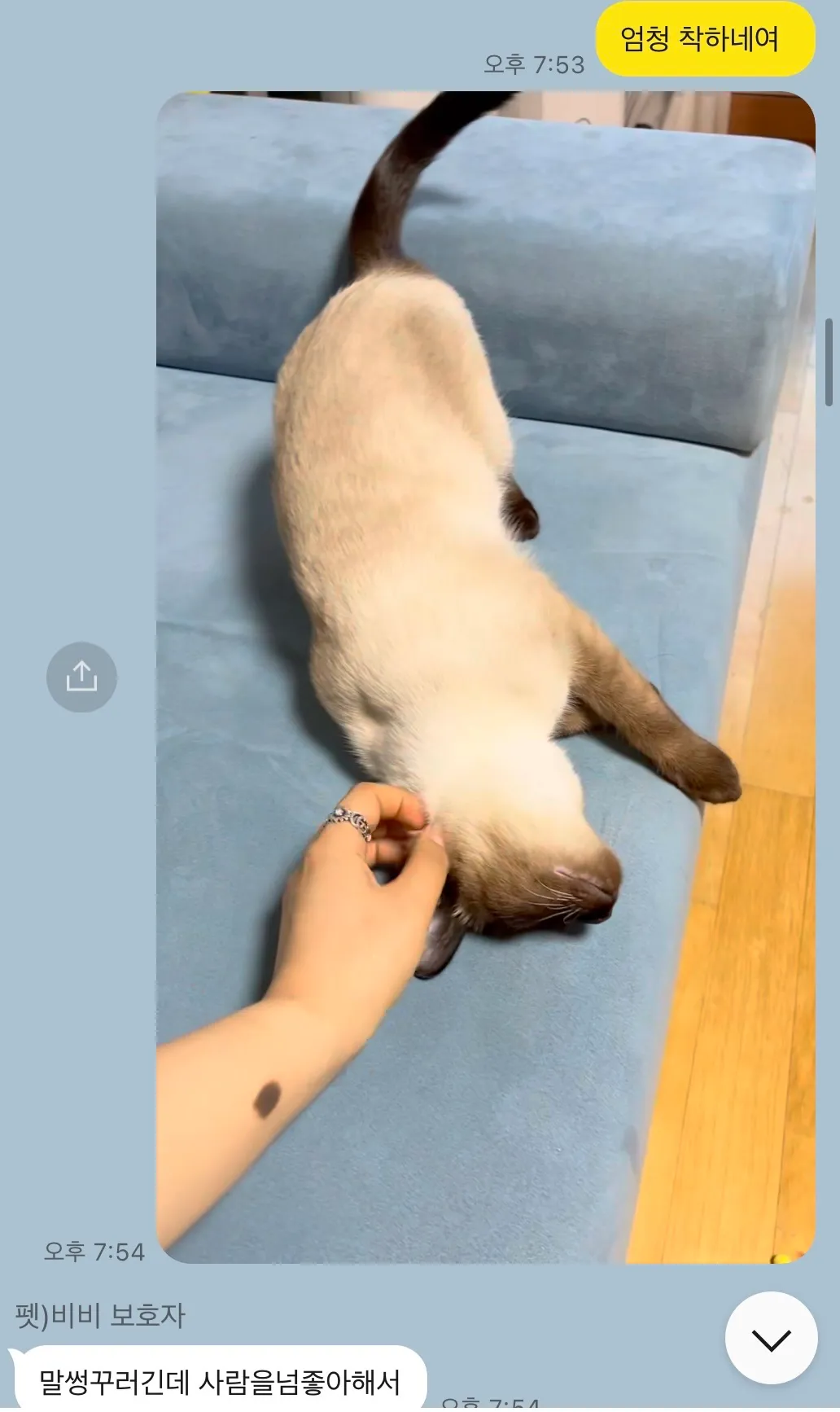 이미지 5