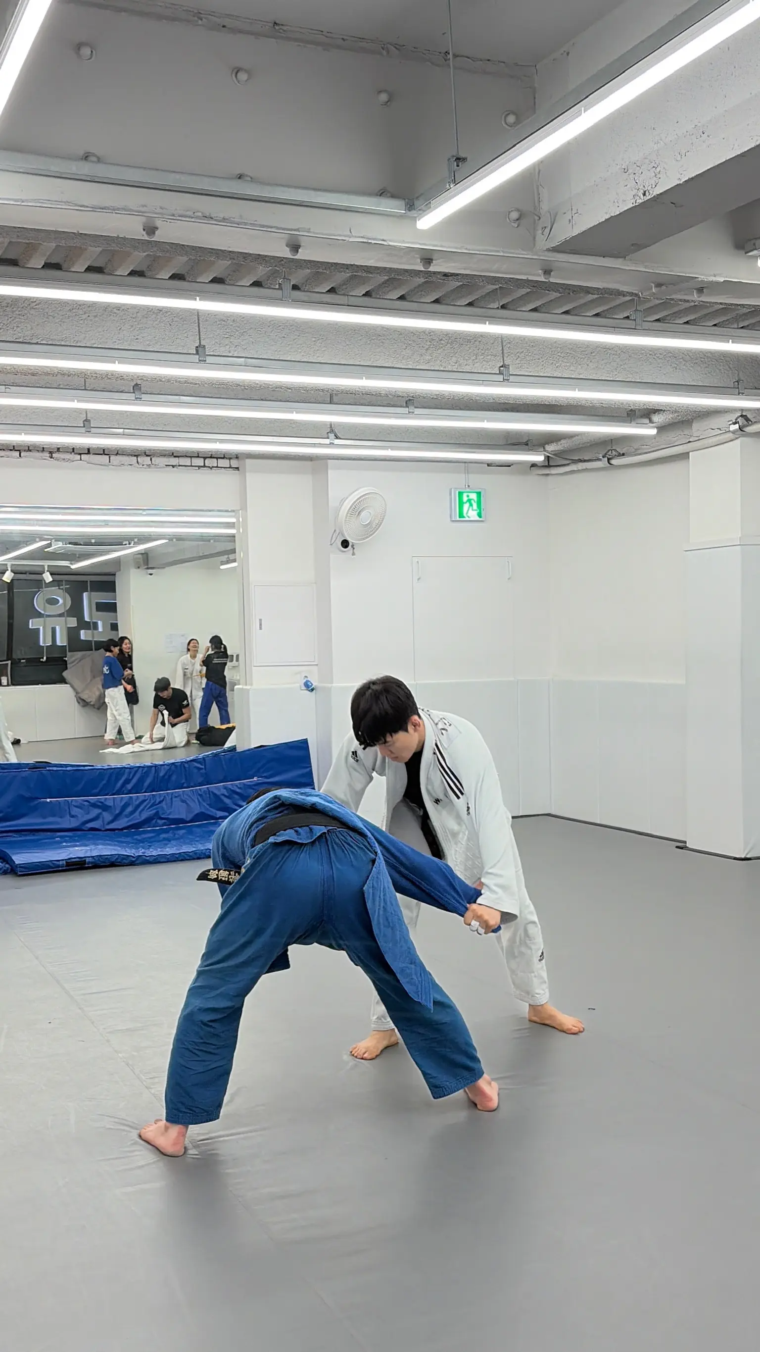 이미지 18