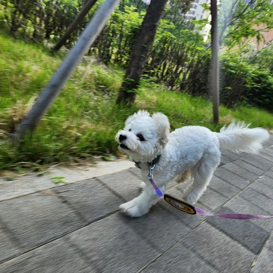 이미지 6