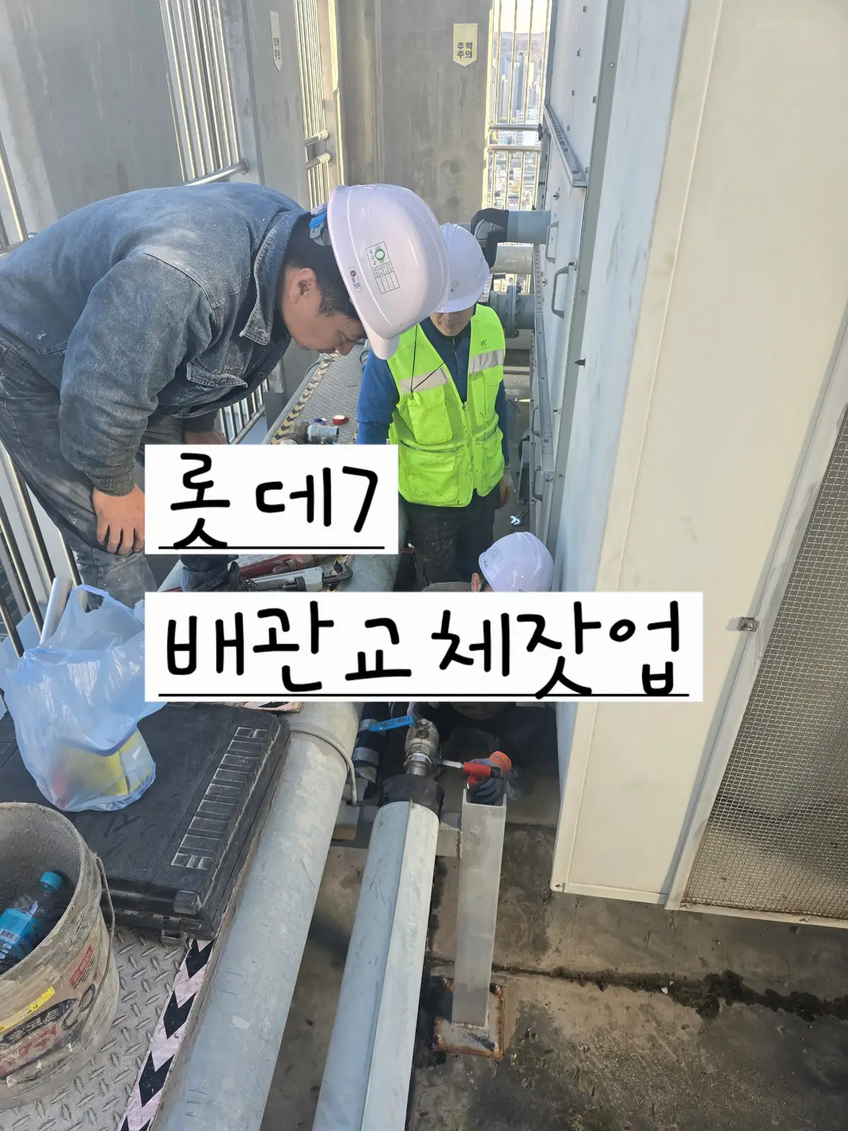 이미지 4