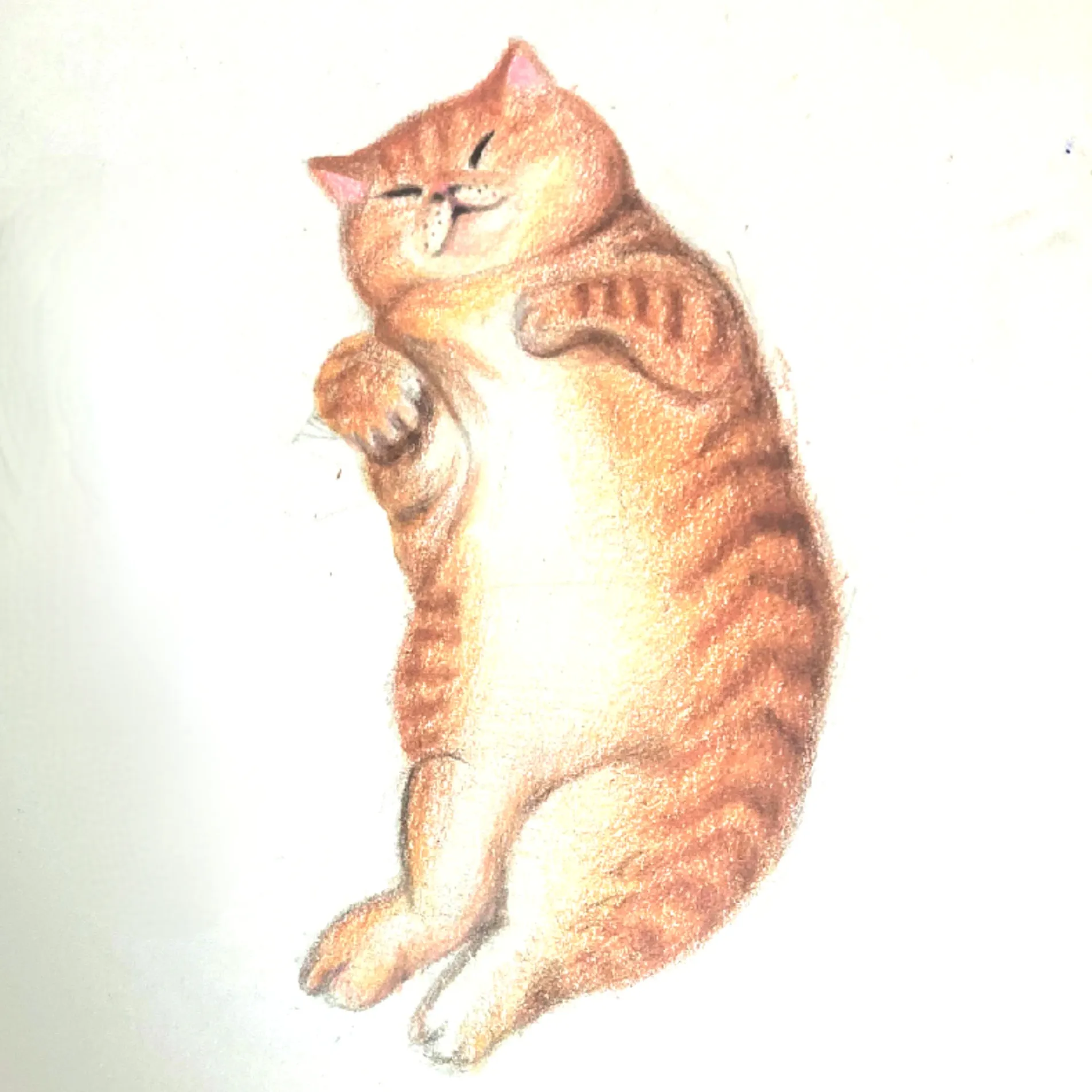 이미지 3