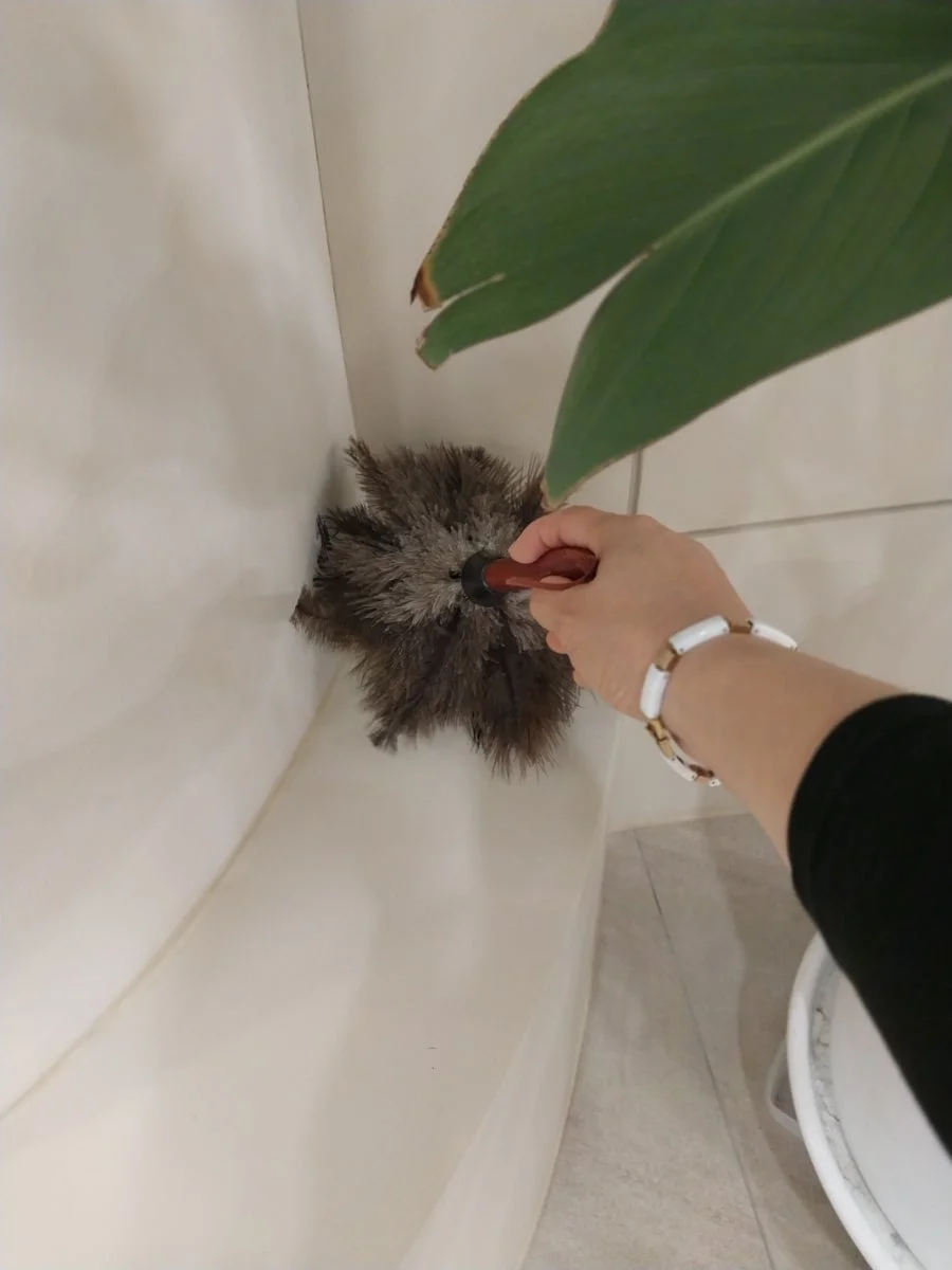 이미지 20