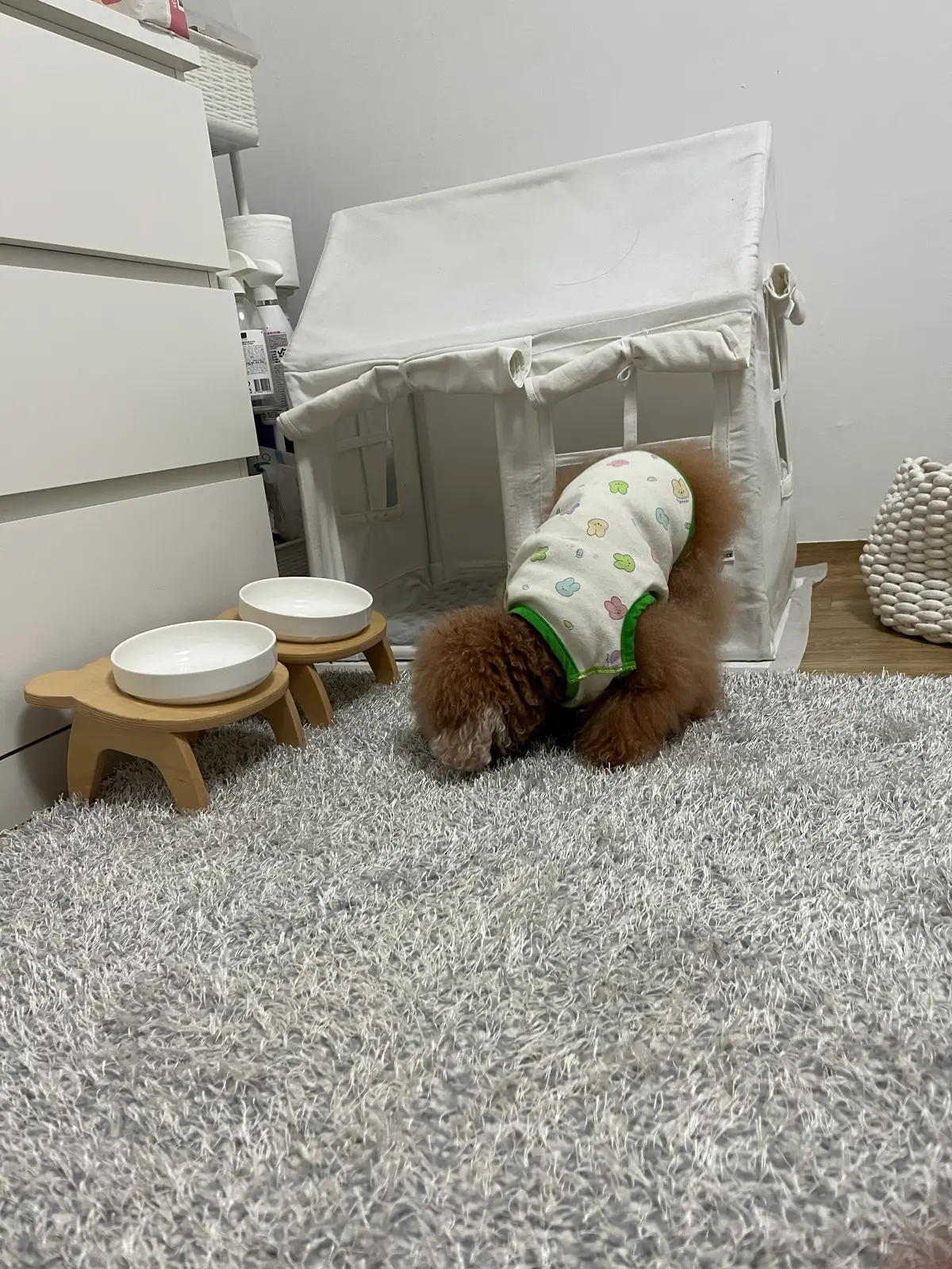 이미지 10