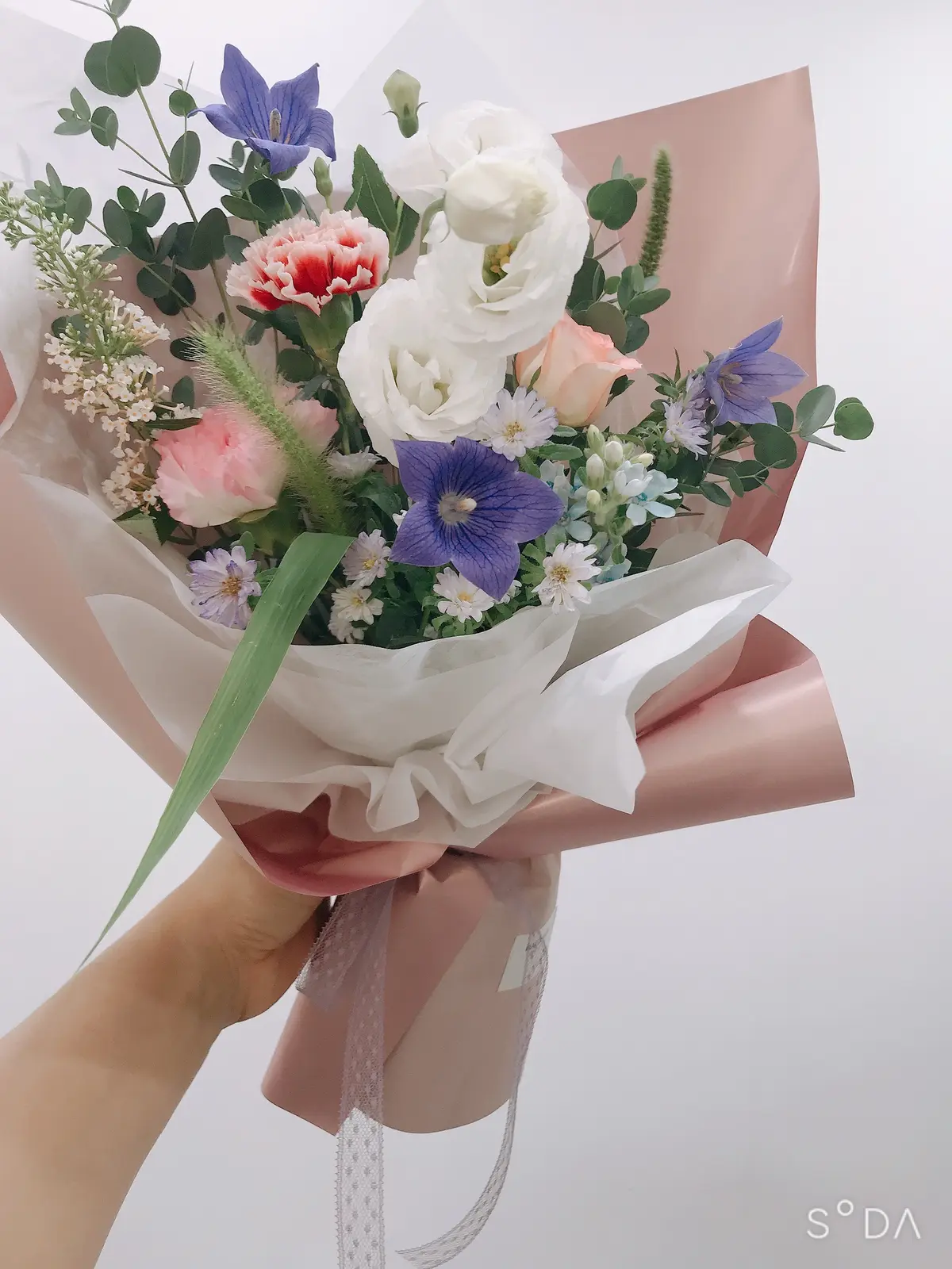 이미지 3