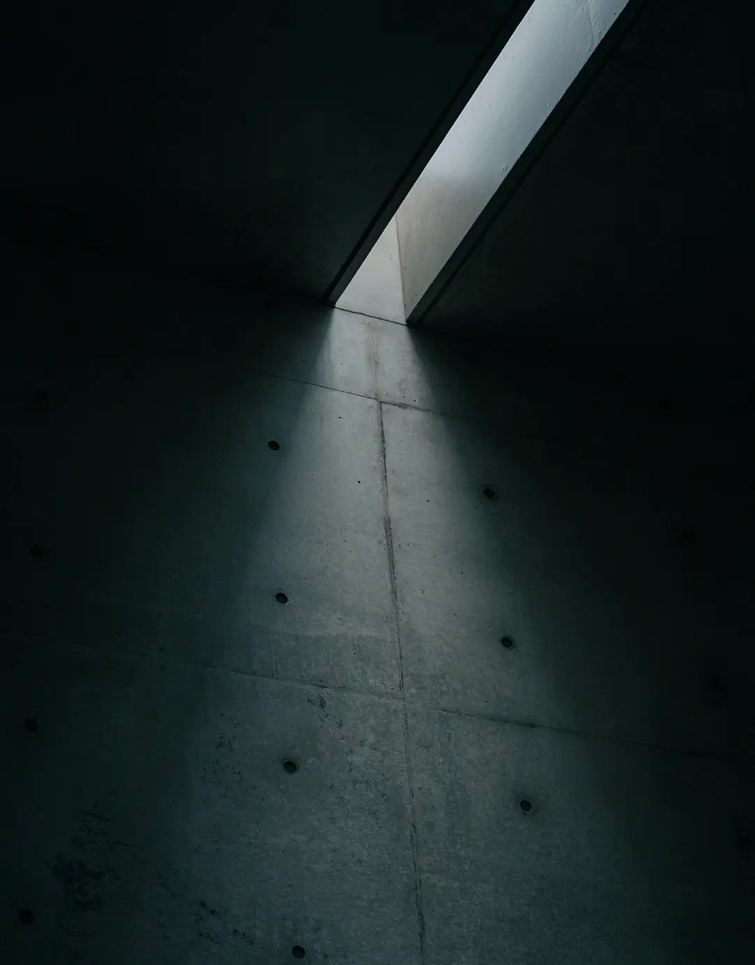 이미지 11