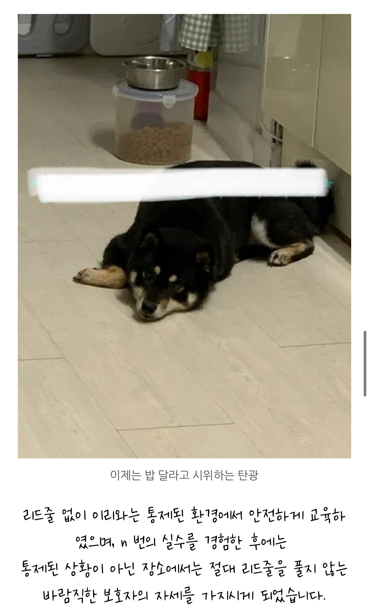 이미지 8