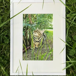Deep in the grass, Bori.