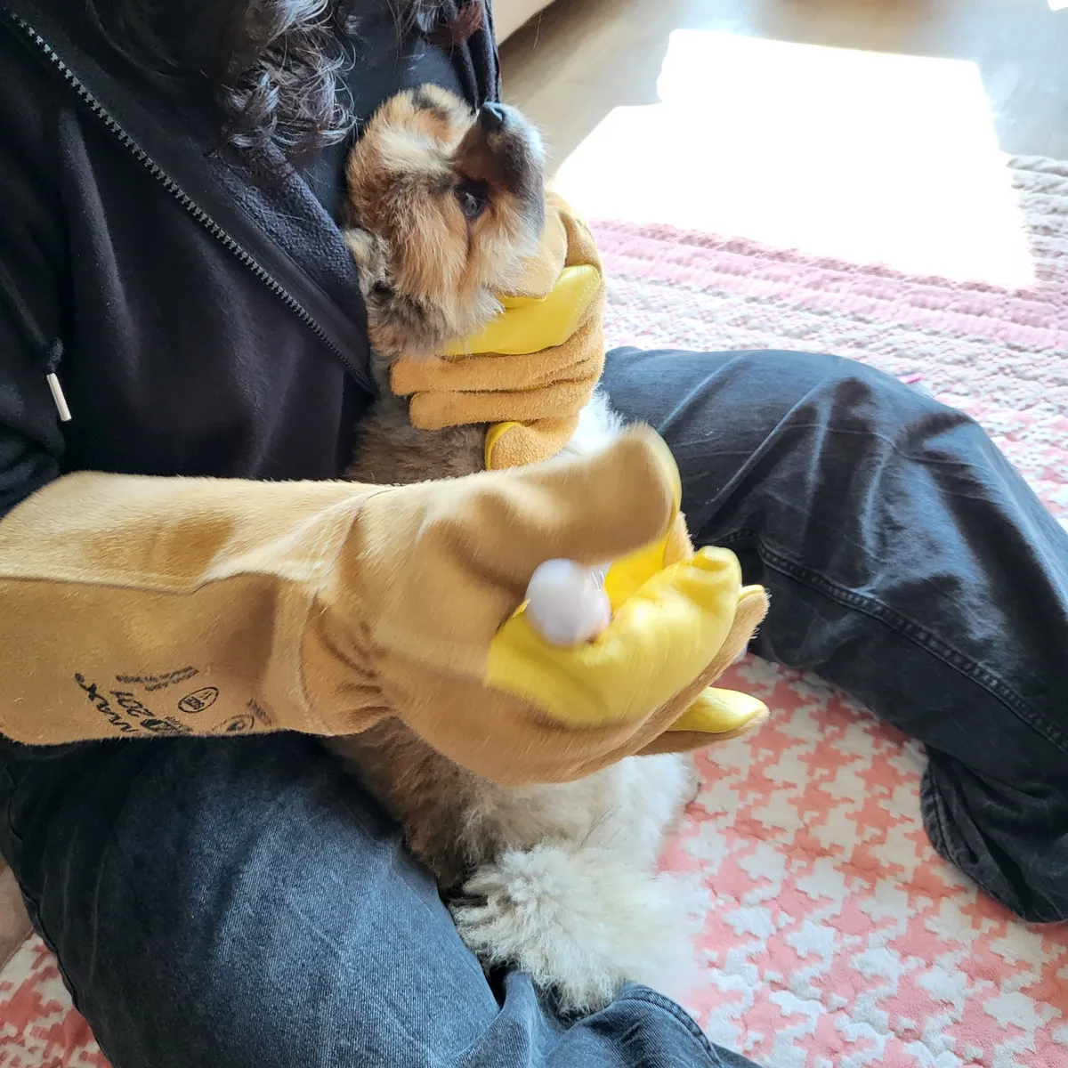 이미지 7