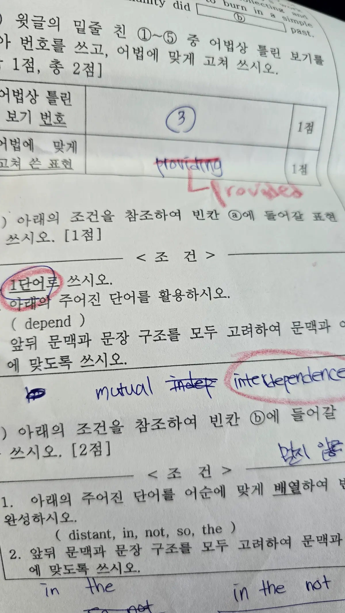 이미지 3