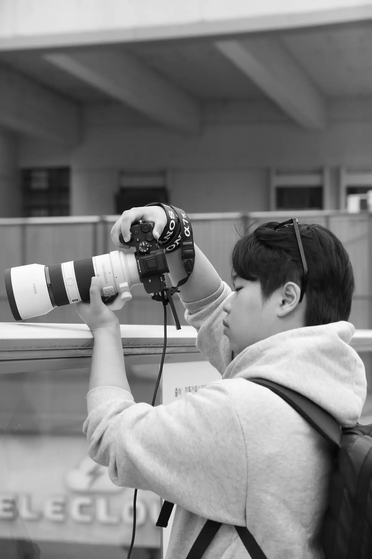 이미지 24