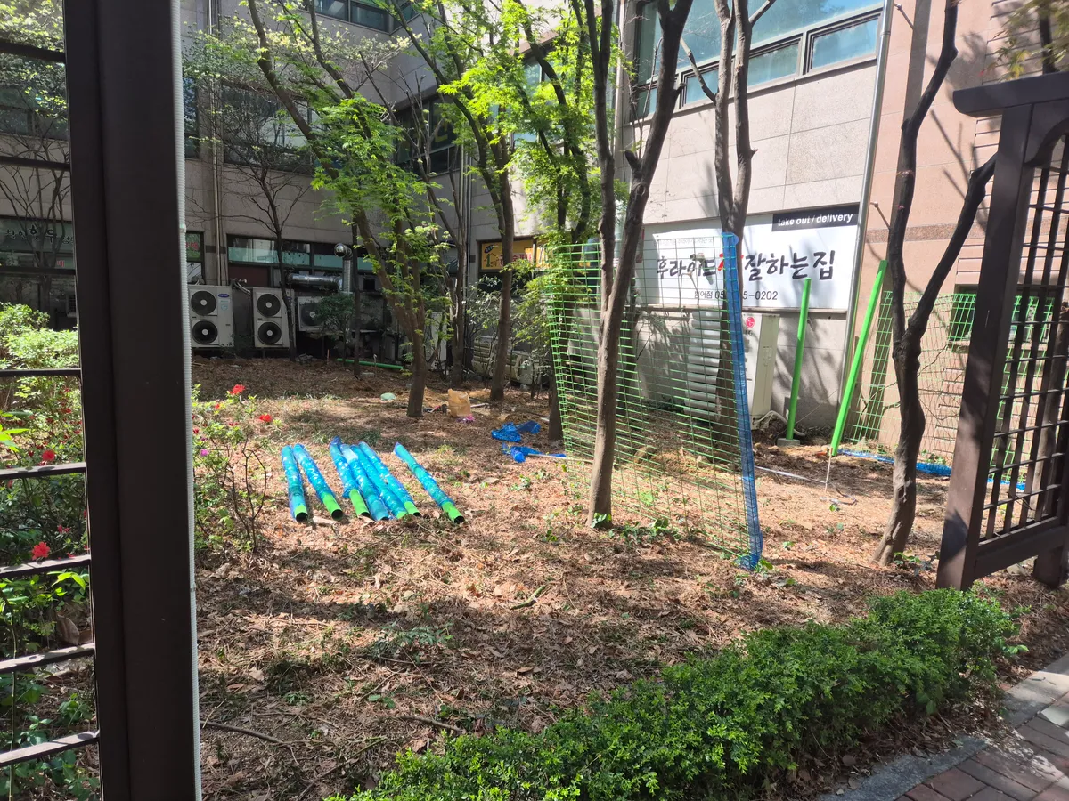 이미지 10