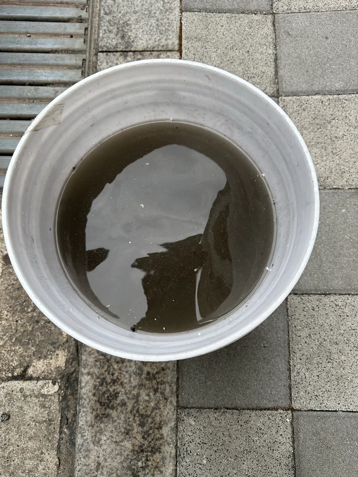 이미지 11