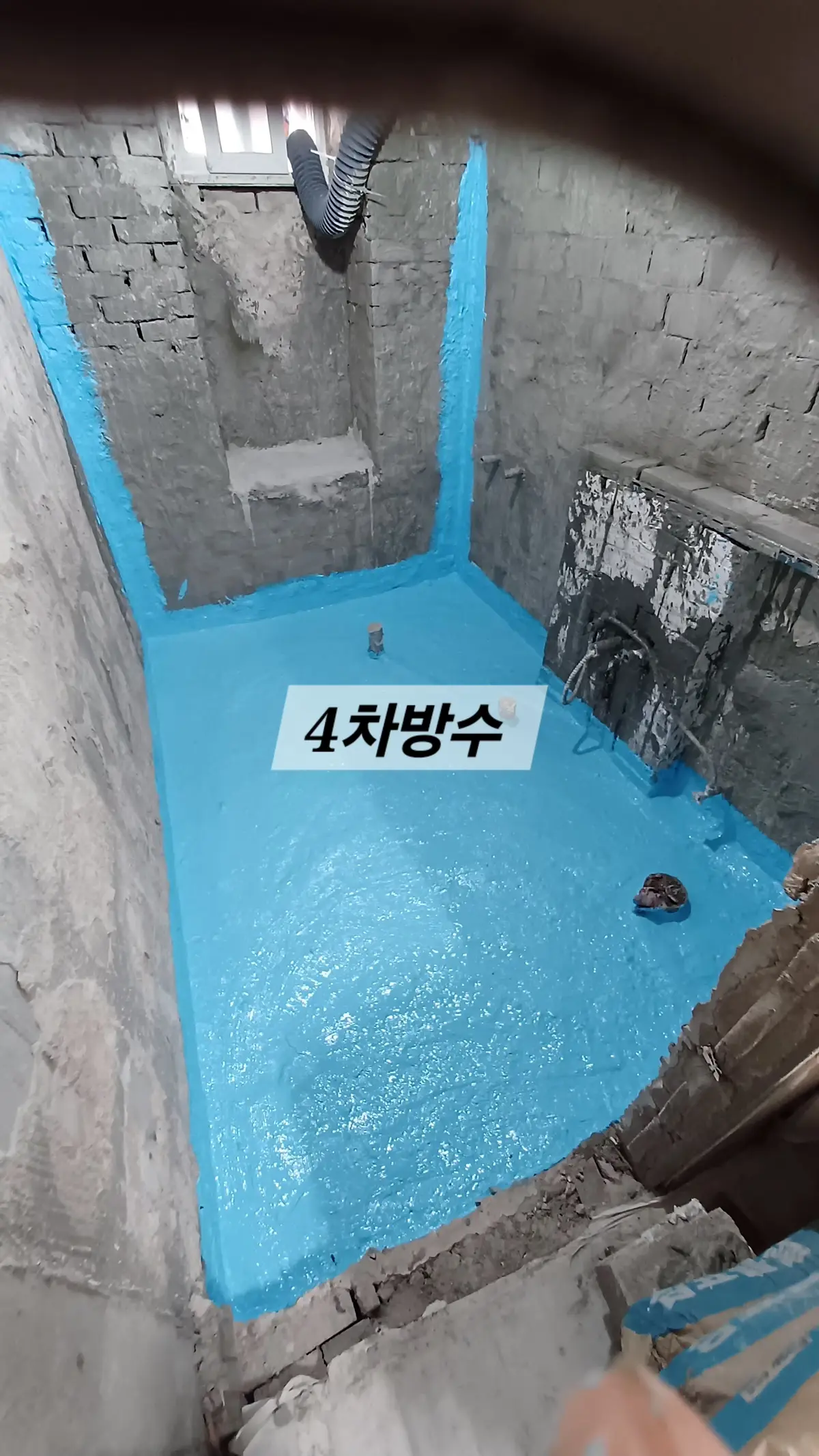 이미지 12