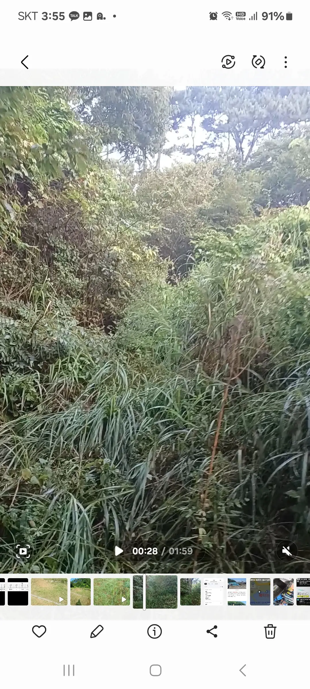 이미지 3