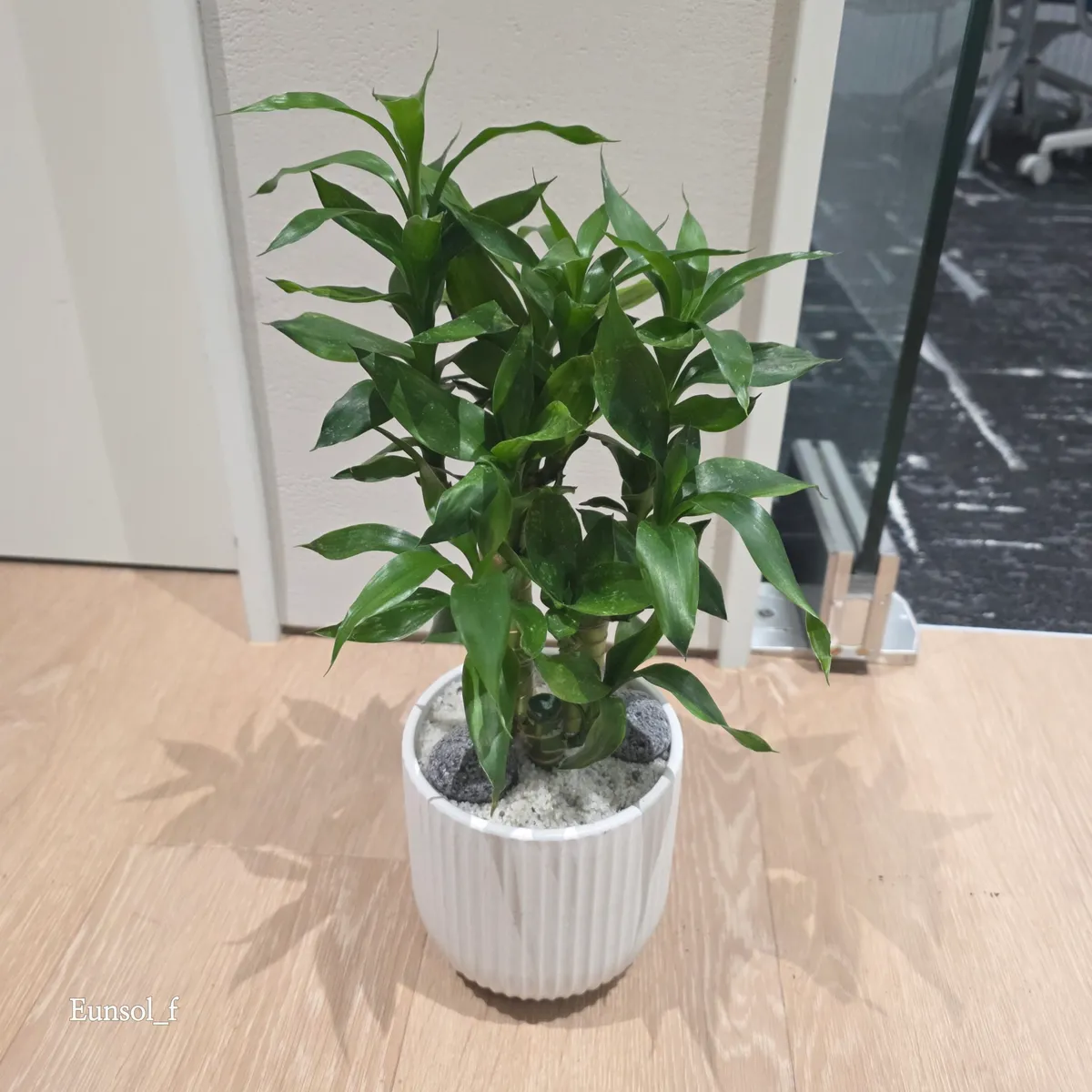 이미지 7