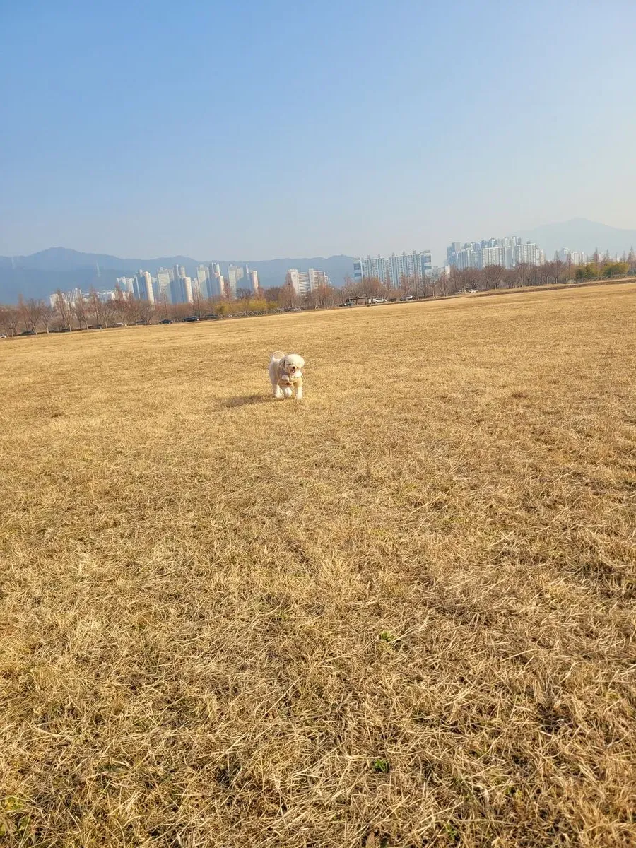 이미지 7