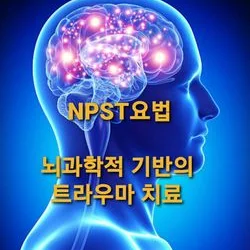  트라우마의 새로운치료 NPST요법 신경전달심리안정요법