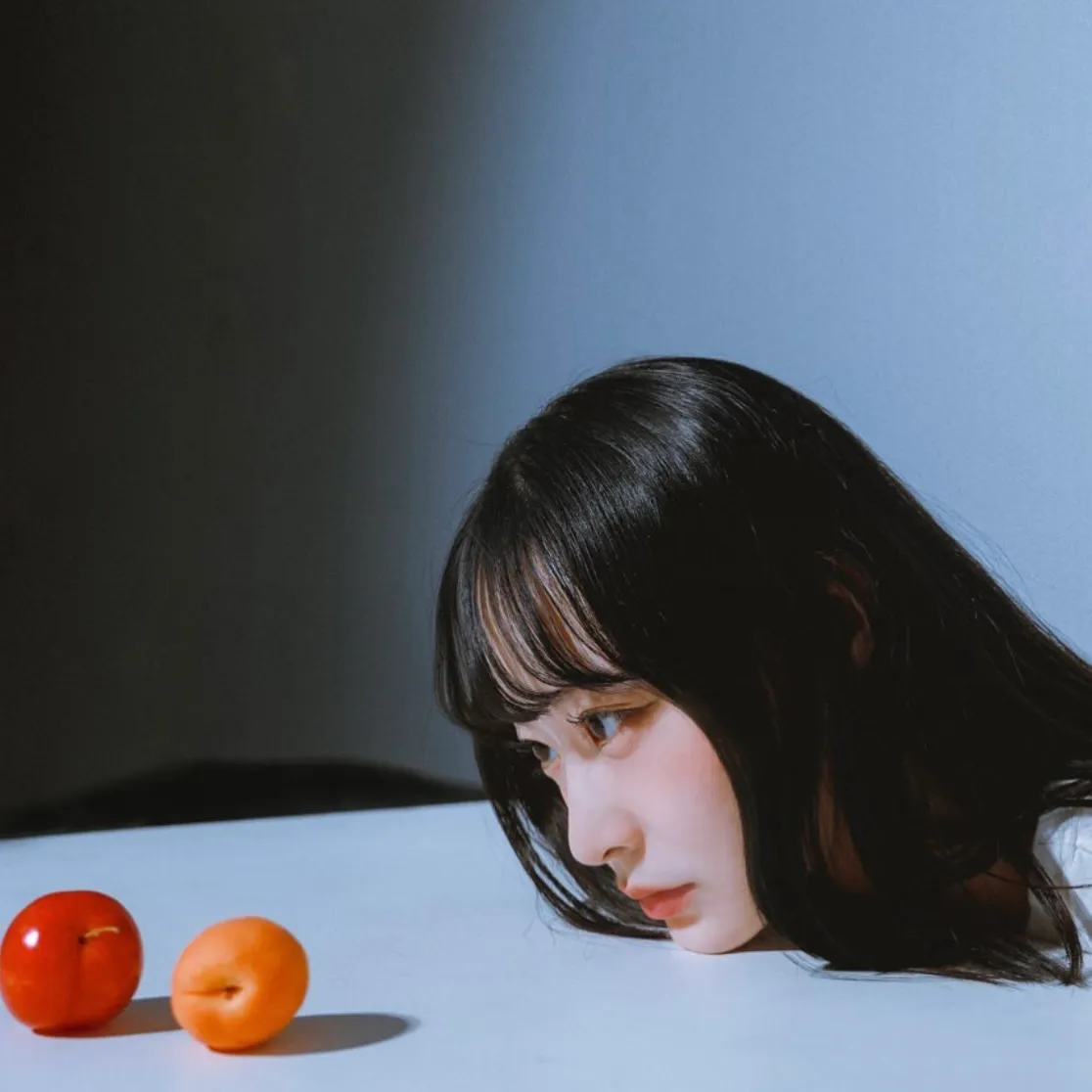 이미지 11