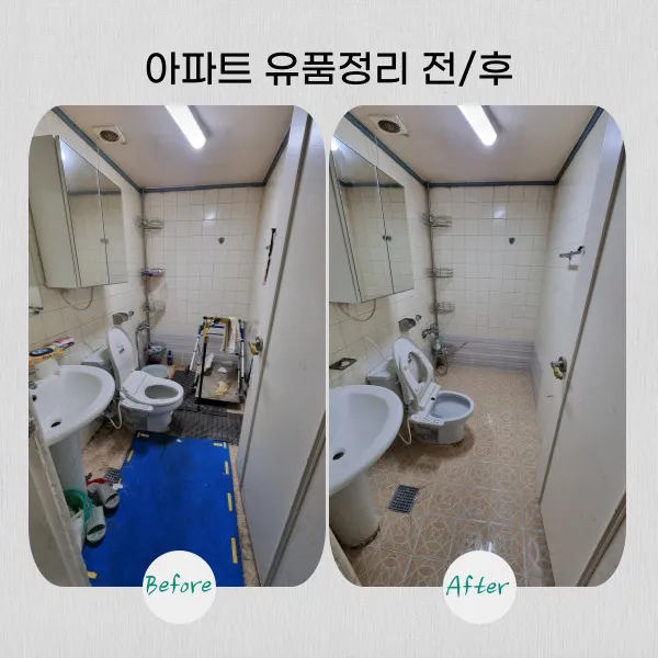 이미지 6