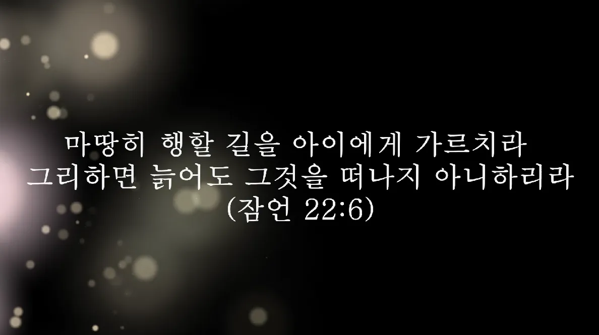 이미지 5