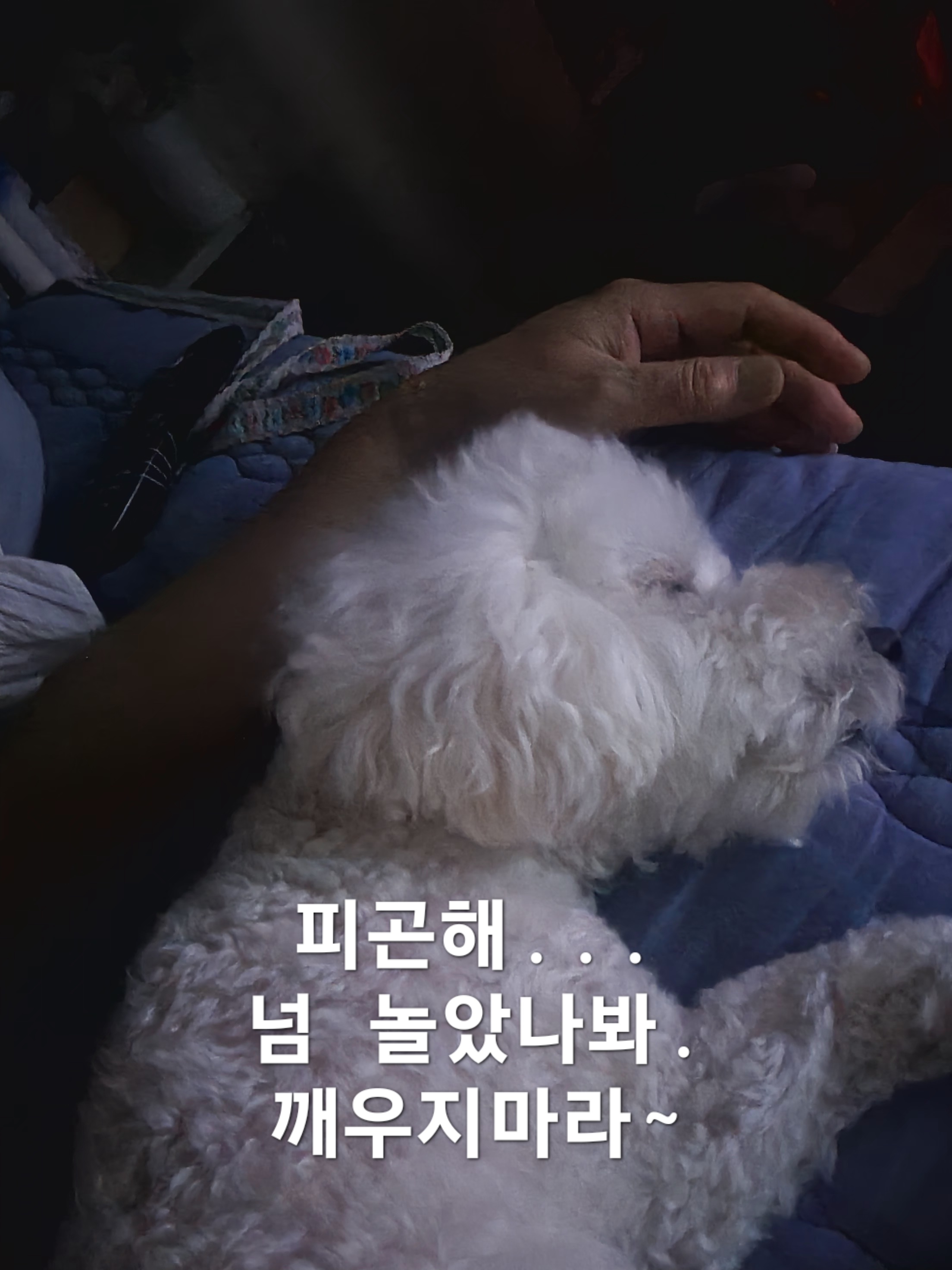이미지 8