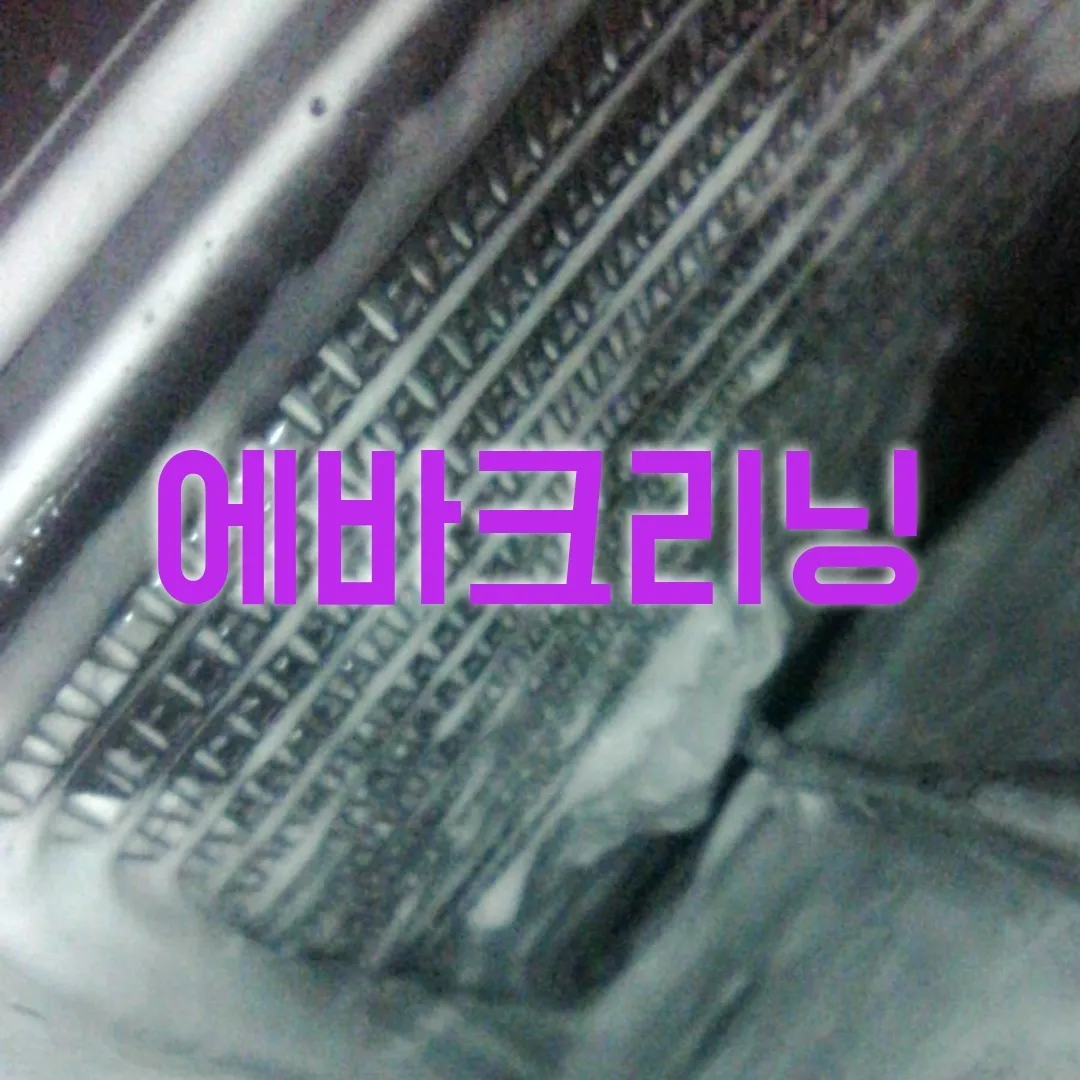 이미지 7