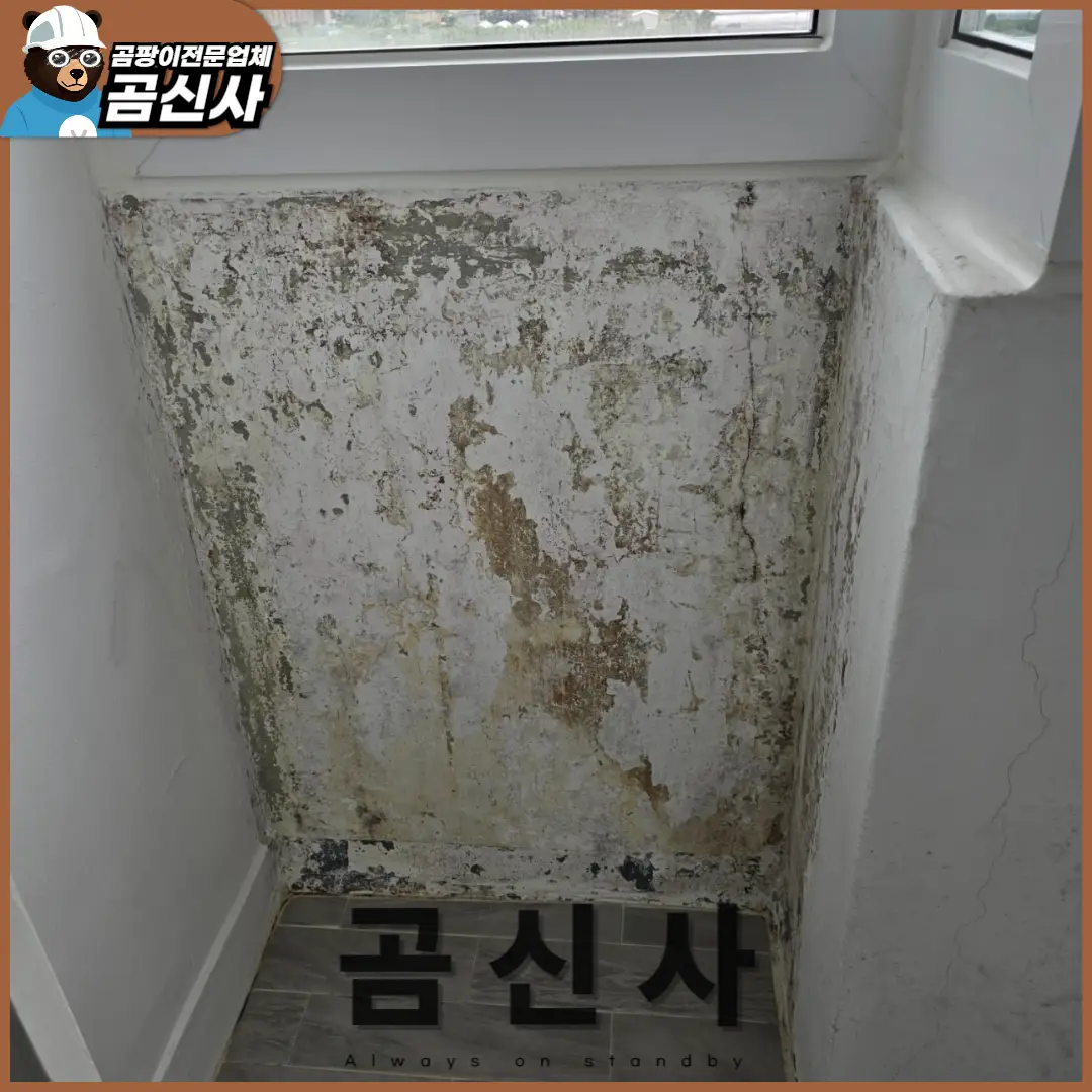 이미지 4