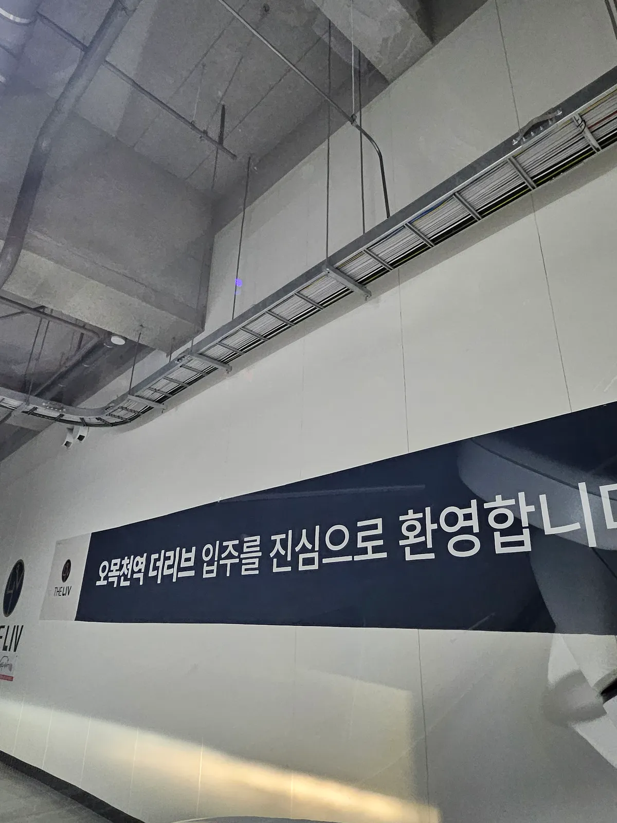이미지 4