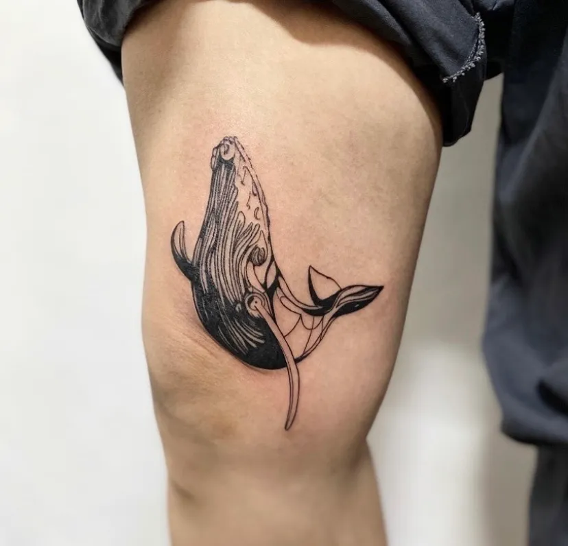 이미지 8
