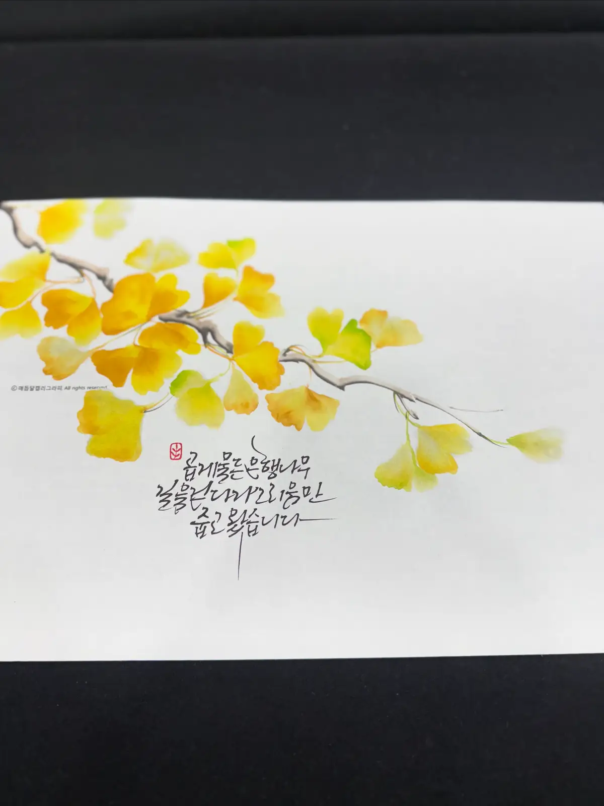 이미지 14