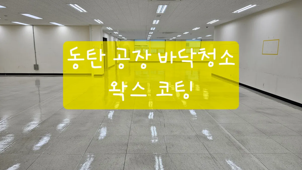 이미지 15