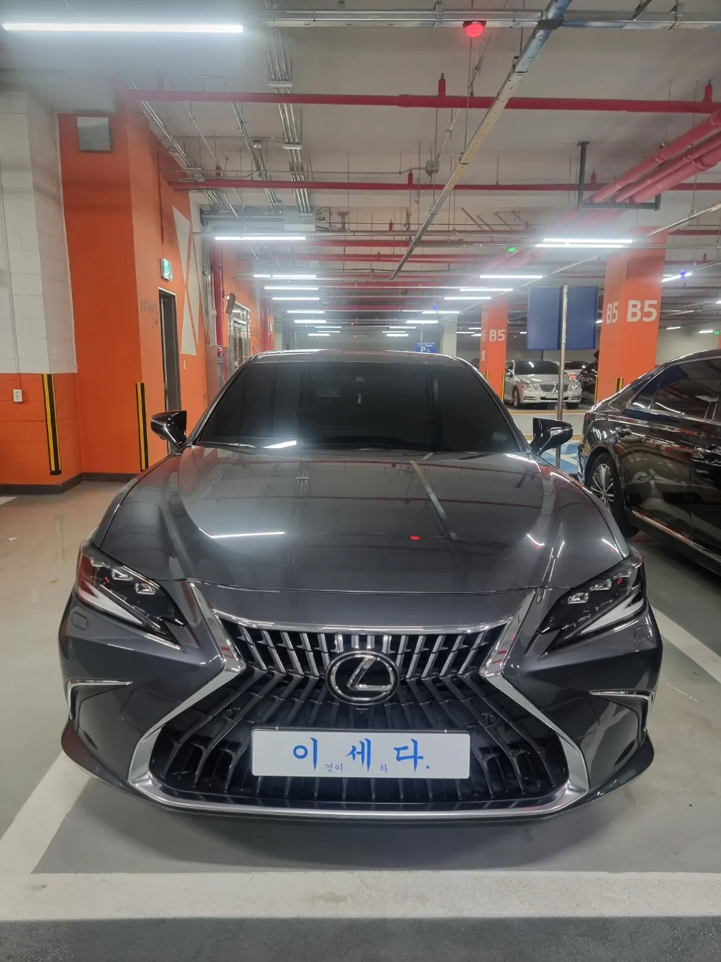 이미지 14