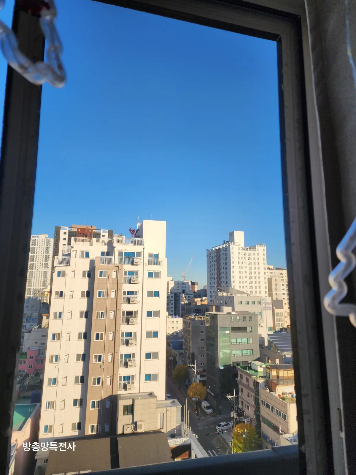 이미지 4