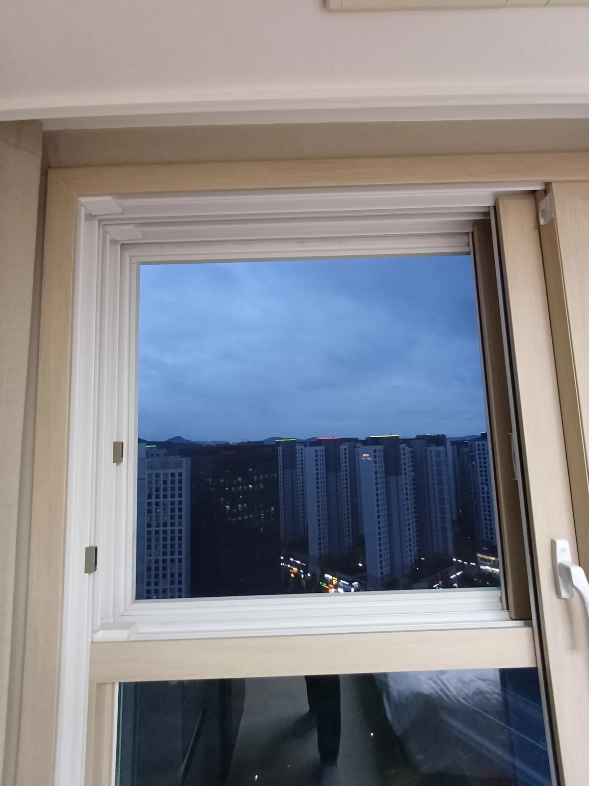 이미지 8