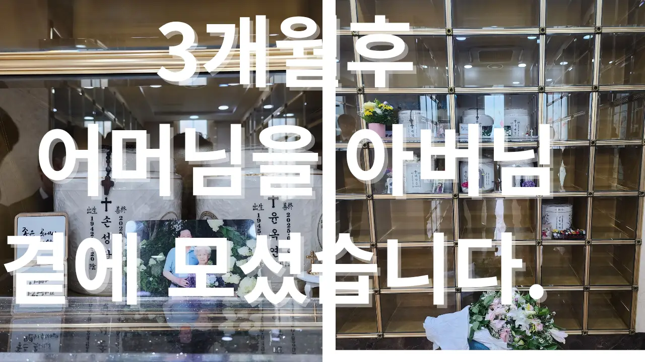 이미지 8