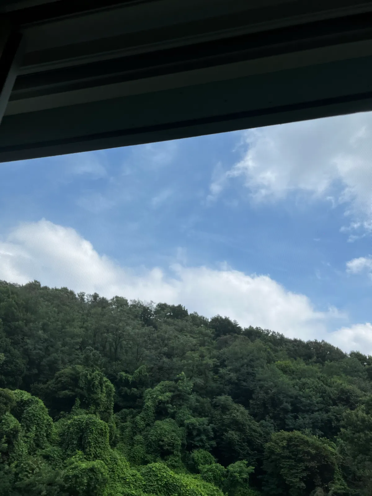 이미지 12
