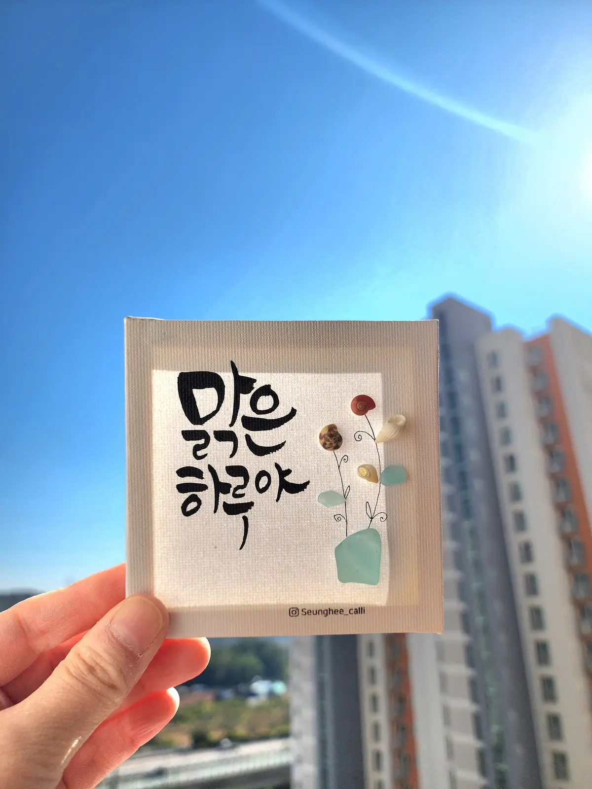 이미지 5
