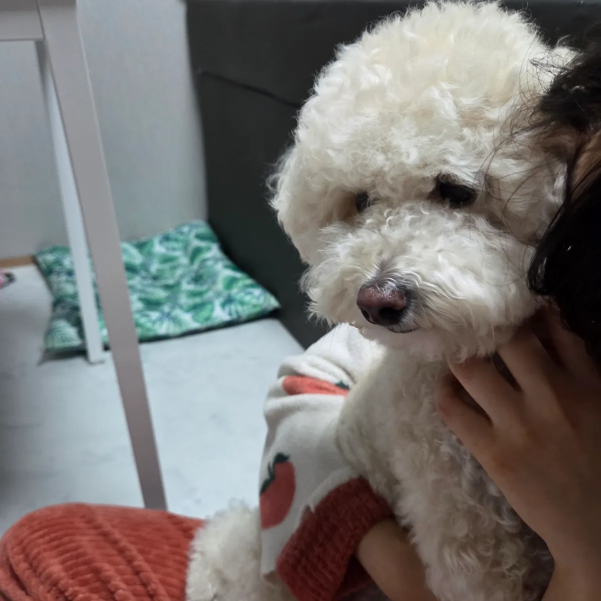이미지 6